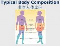 继发性肥胖及肥胖的判断