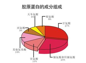 人体成分测量仪解读胶原蛋白对人体的重要性