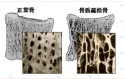 随着年龄的增长，你变矮了吗?超声波91免费看片仪的厂家已经揭示了他们的秘密