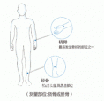 91免费看片测量仪器厂家关于便携桡骨胫骨91免费看片和跟骨的对比优势